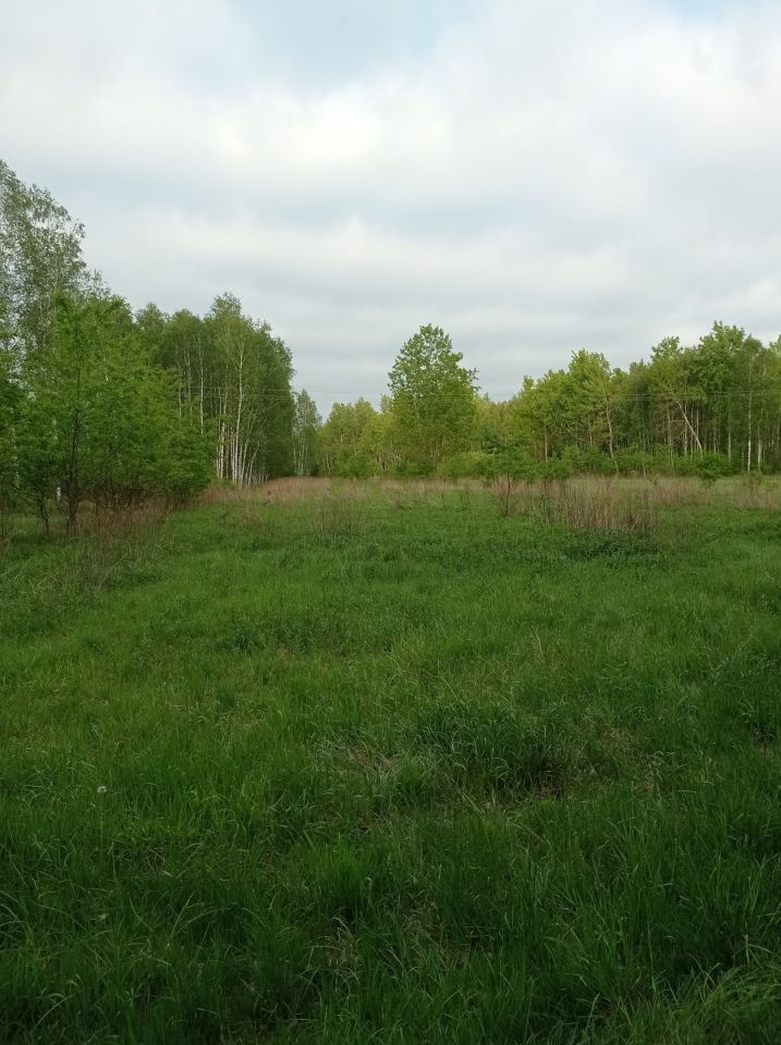 Działka rolna Sarzyna. Zdjęcie 4