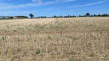 Działka budowlana Garbów, ul. Północna. Zdjęcie 1