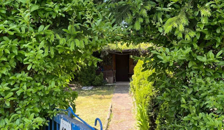 Działka rod Bytom, ul. Strzelców Bytomskich