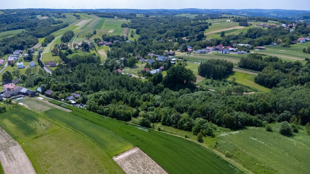 Działka rolno-budowlana Harta. Zdjęcie 3