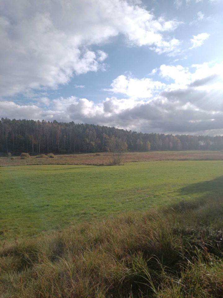 Działka rolna Osie. Zdjęcie 2