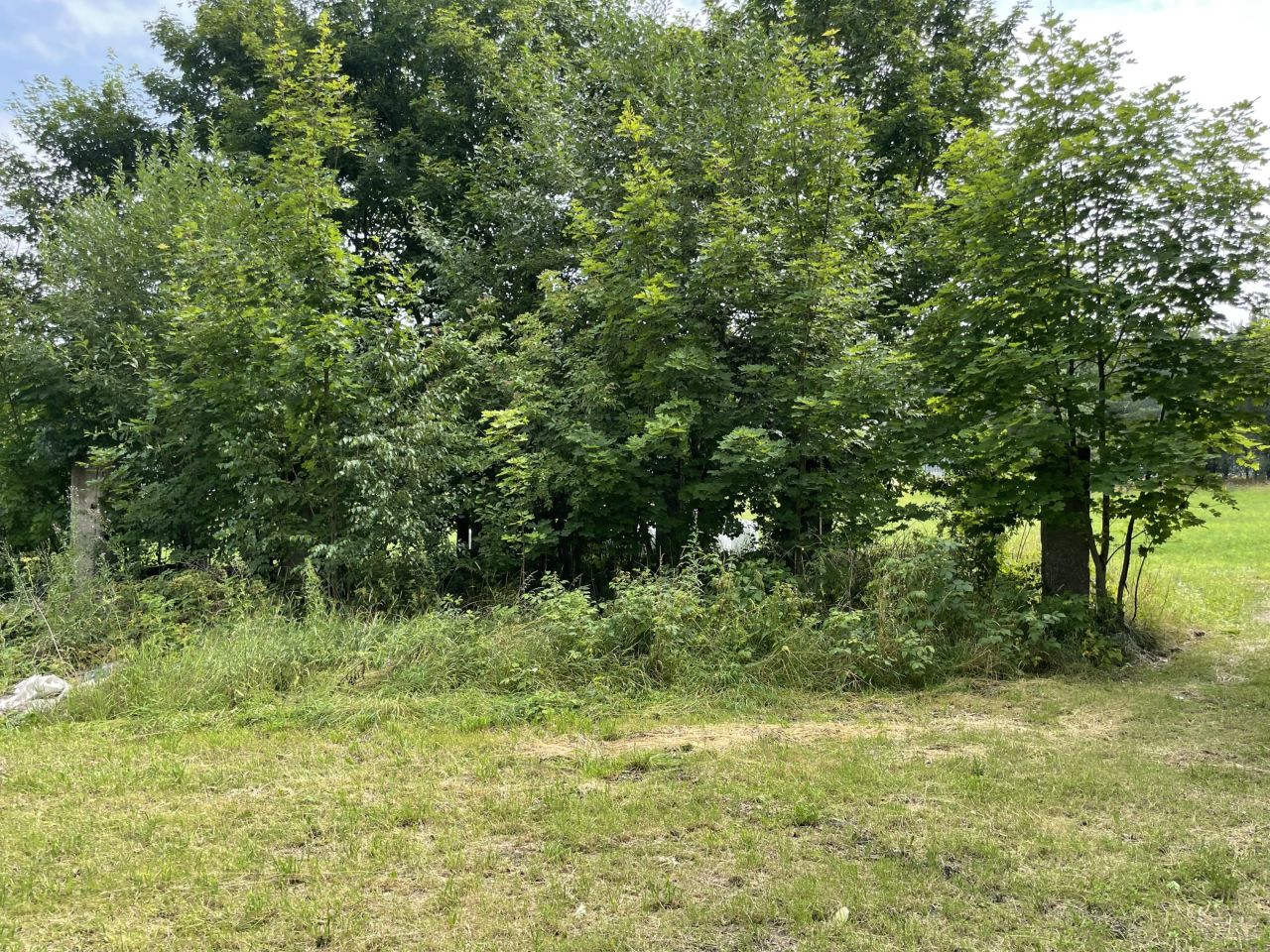 Działka rolno-budowlana Kopczany. Zdjęcie 7