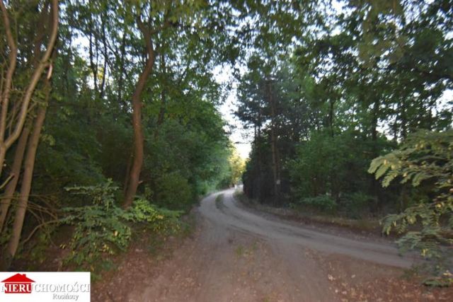 Działka rekreacyjna Wola Rasztowska. Zdjęcie 4