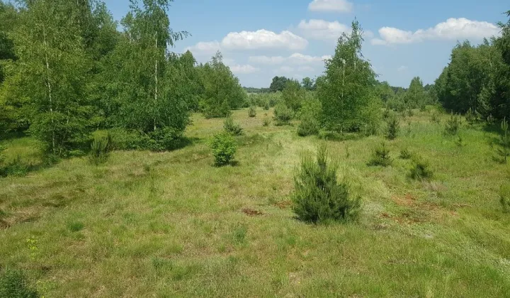 Działka budowlana Gilówka Górna