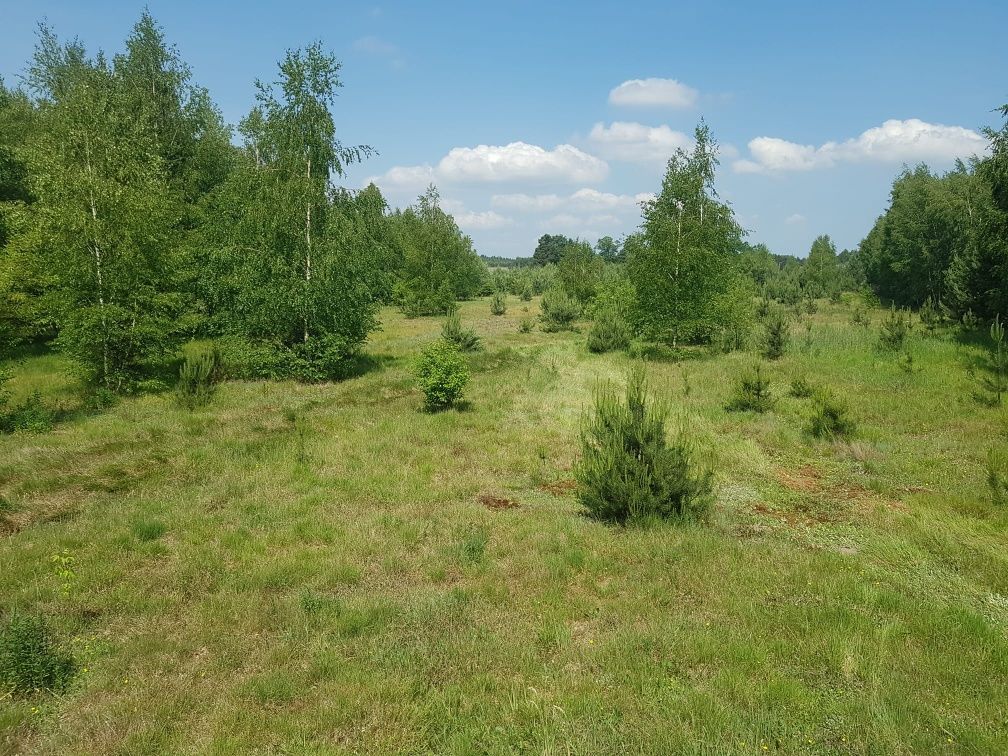 Działka budowlana Gilówka Górna. Zdjęcie 1