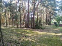 Działka inna Piaski. Zdjęcie 4