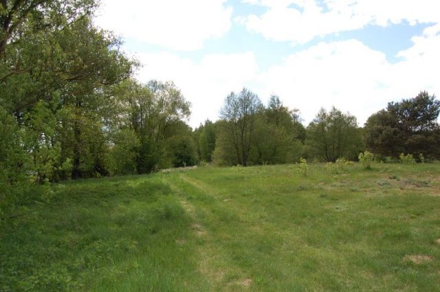 Działka rekreacyjna Pruszkowo. Zdjęcie 1