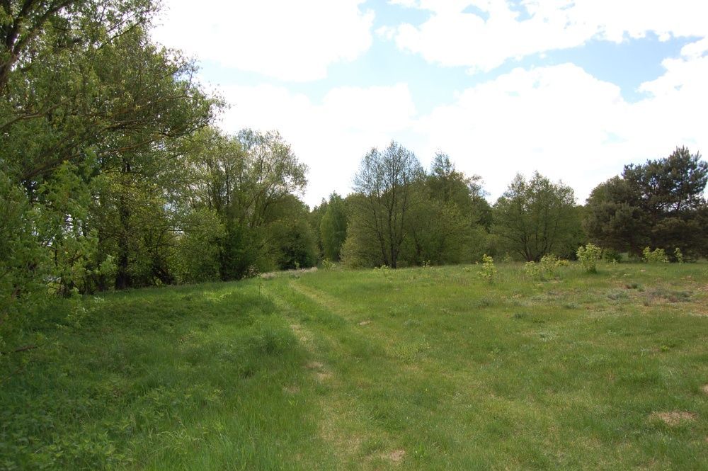 Działka rekreacyjna Pruszkowo. Zdjęcie 1