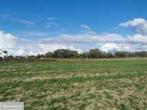 Działka budowlana Ceradz Kościelny, ul. Wspólna. Zdjęcie 3