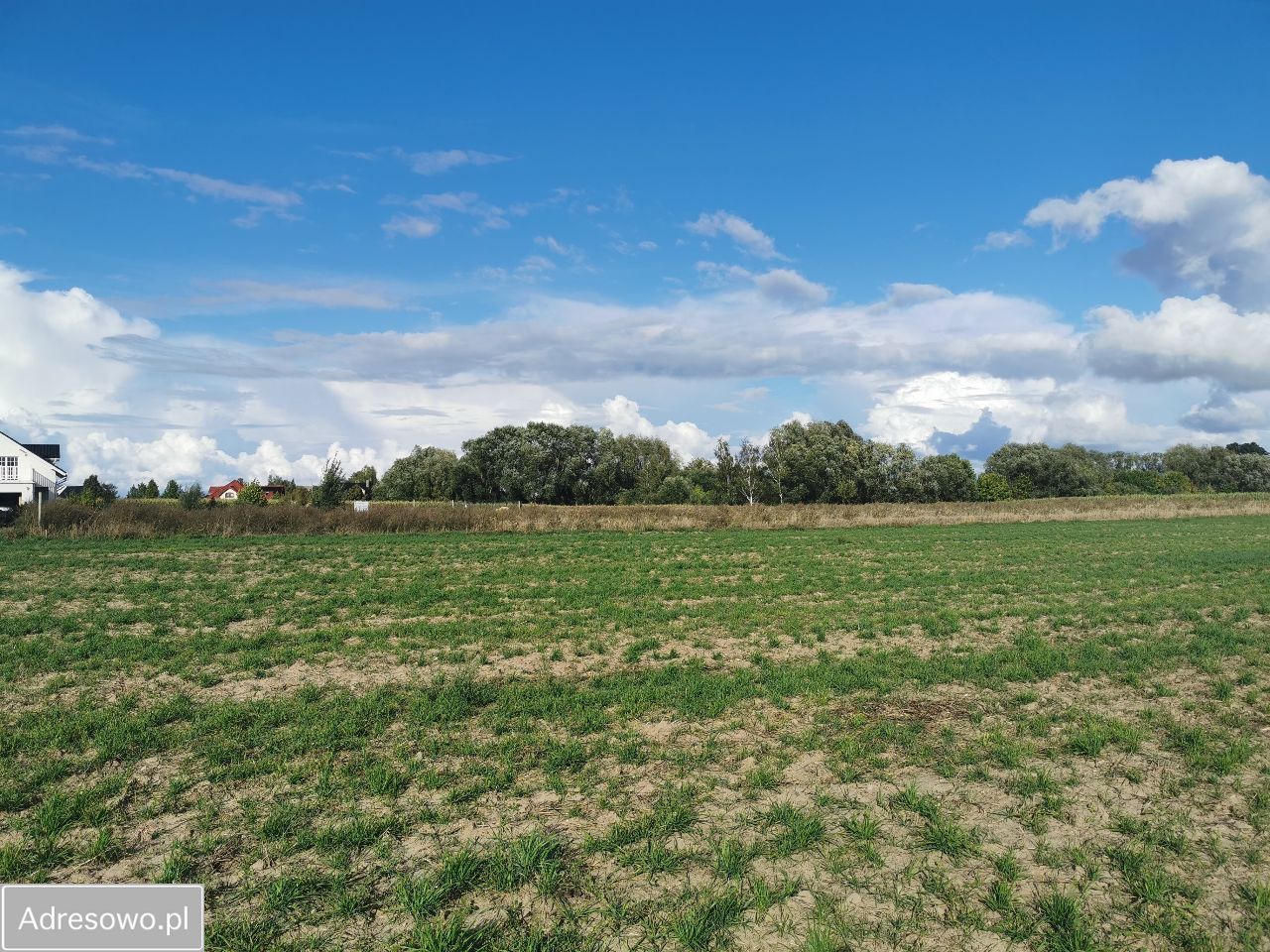 Działka budowlana Ceradz Kościelny, ul. Wspólna. Zdjęcie 4