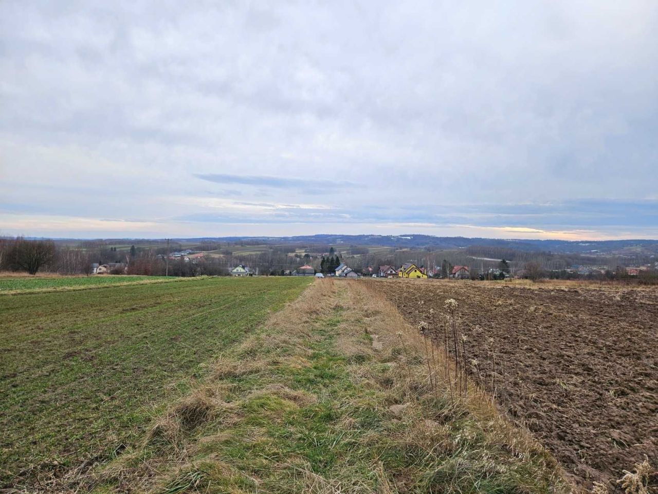 Działka leśna Zgłobień. Zdjęcie 3