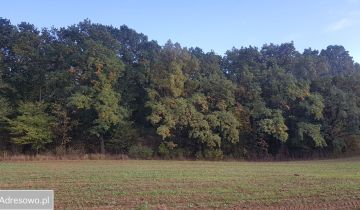 Działka siedliskowa Dębówka, ul. Podleśna