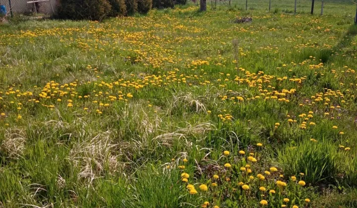 Działka budowlana Żory Rój