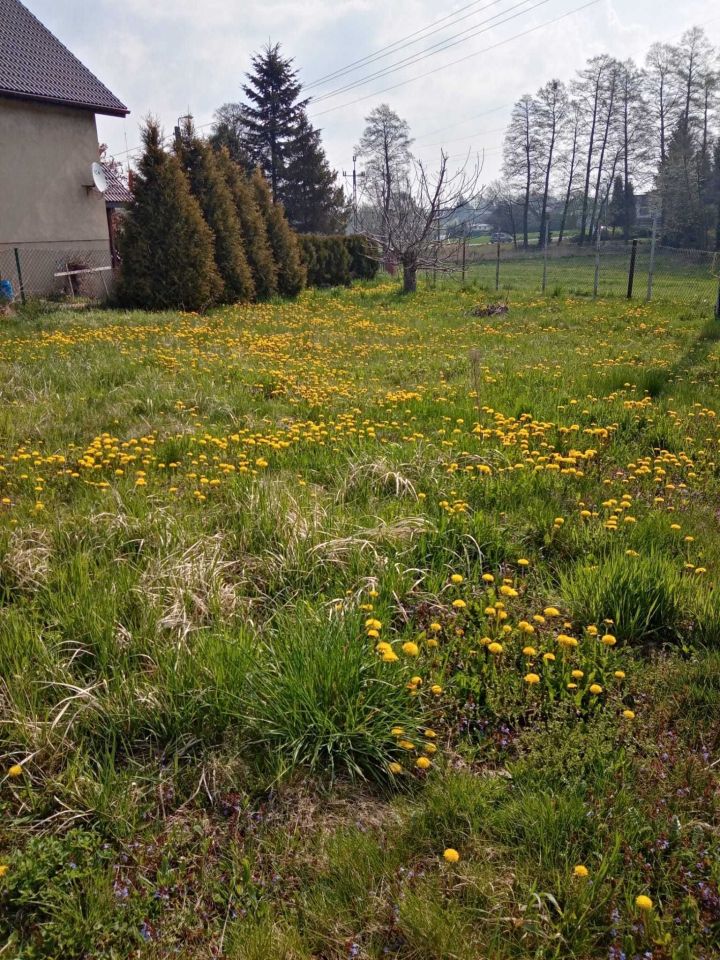 Działka budowlana Żory Rój. Zdjęcie 1