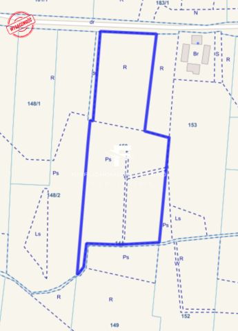 Działka rolna Modrzewo. Zdjęcie 6