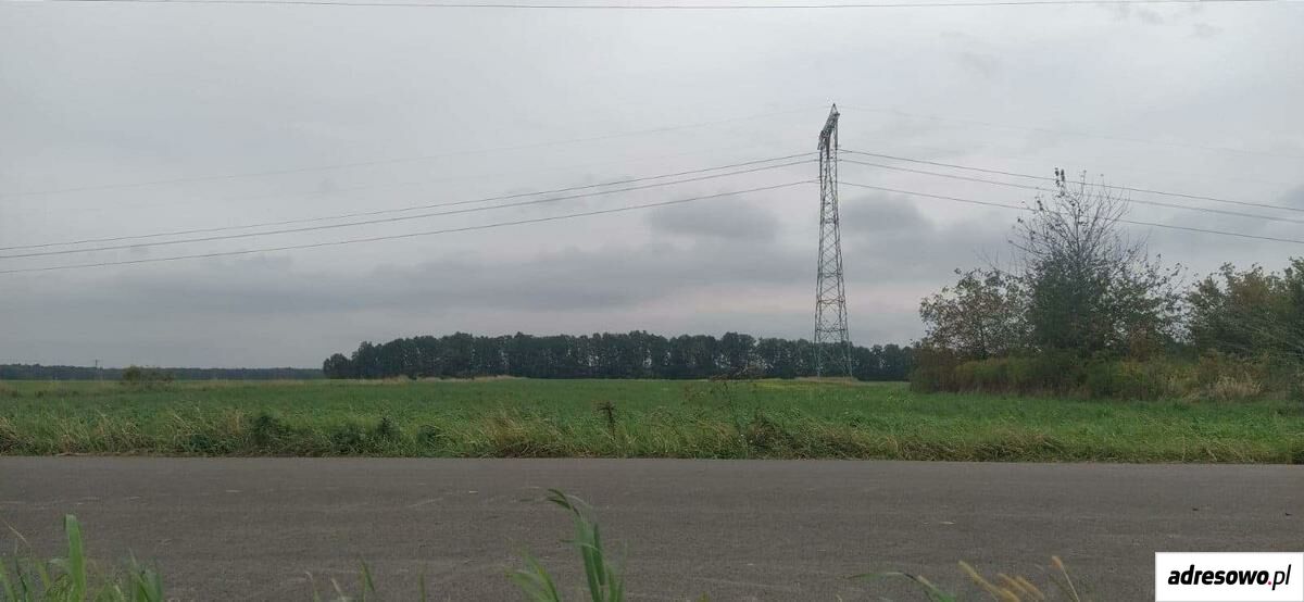 Działka rolno-budowlana Leśce. Zdjęcie 2