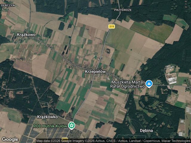 Działka rolna Krzepielów. Zdjęcie 1