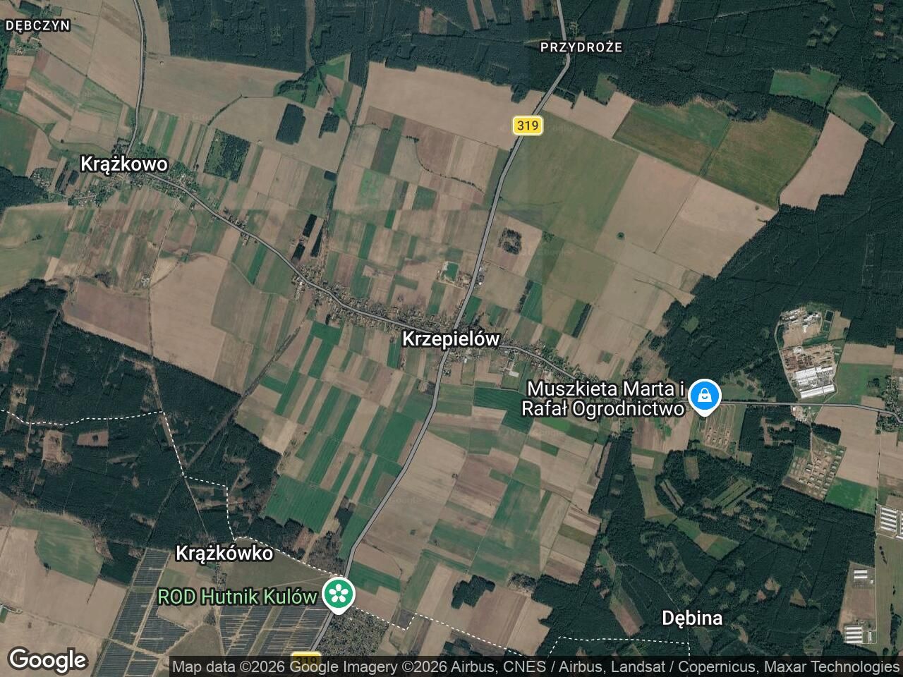 Działka rolna Krzepielów. Zdjęcie 1