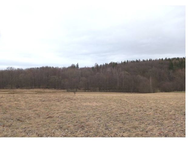 Działka budowlana Starkówek. Zdjęcie 11