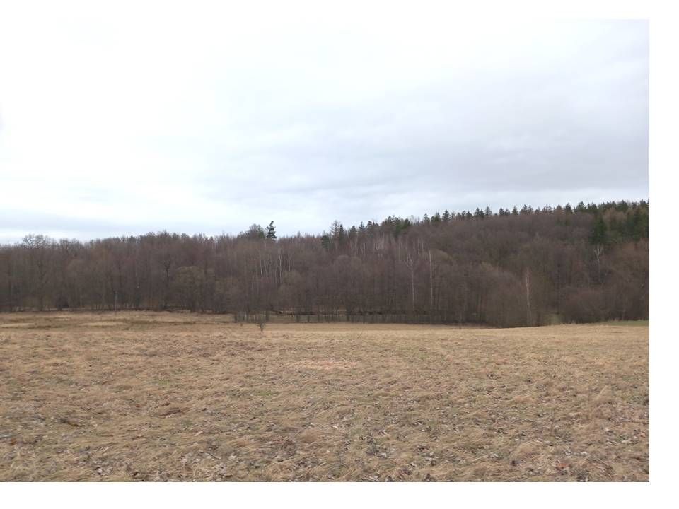 Działka budowlana Starkówek. Zdjęcie 11