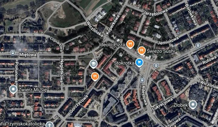 Mieszkanie 1-pokojowe Gdynia Dąbrowa, ul. Miętowa