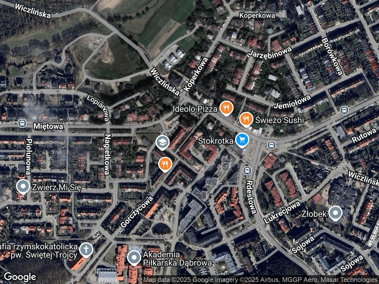 Mieszkanie 1-pokojowe Gdynia Dąbrowa, ul. Miętowa