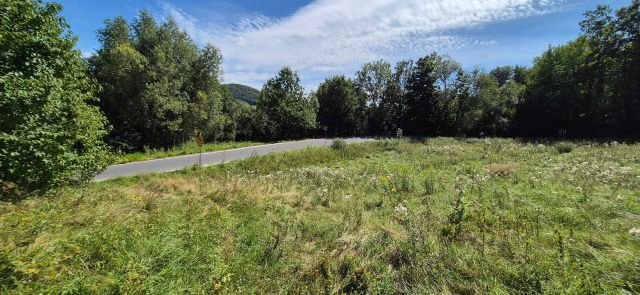 Działka rolno-budowlana Wojcieszów. Zdjęcie 1