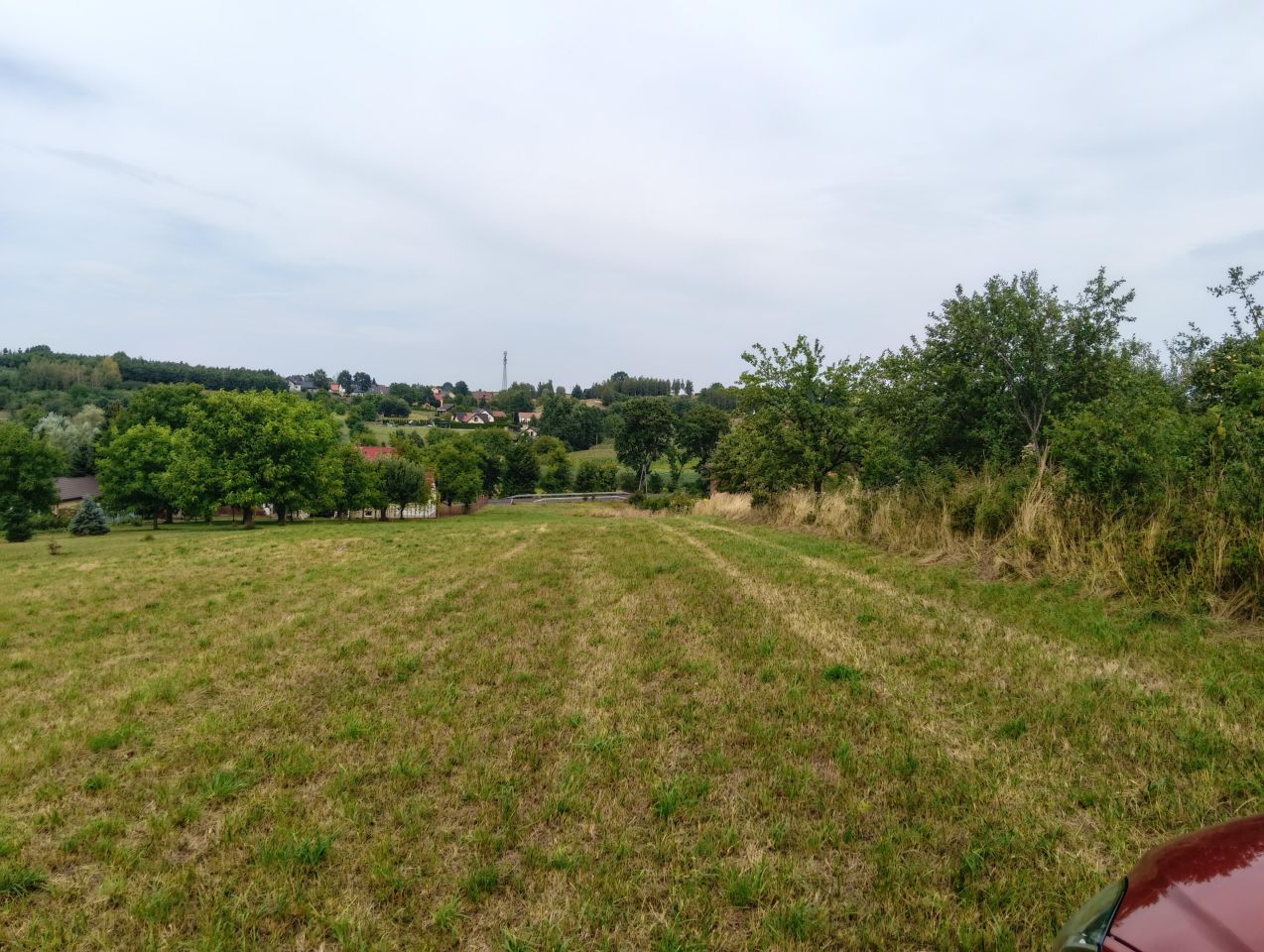 Działka siedliskowa Gierczyce Niwa, Gierczyce. Zdjęcie 6