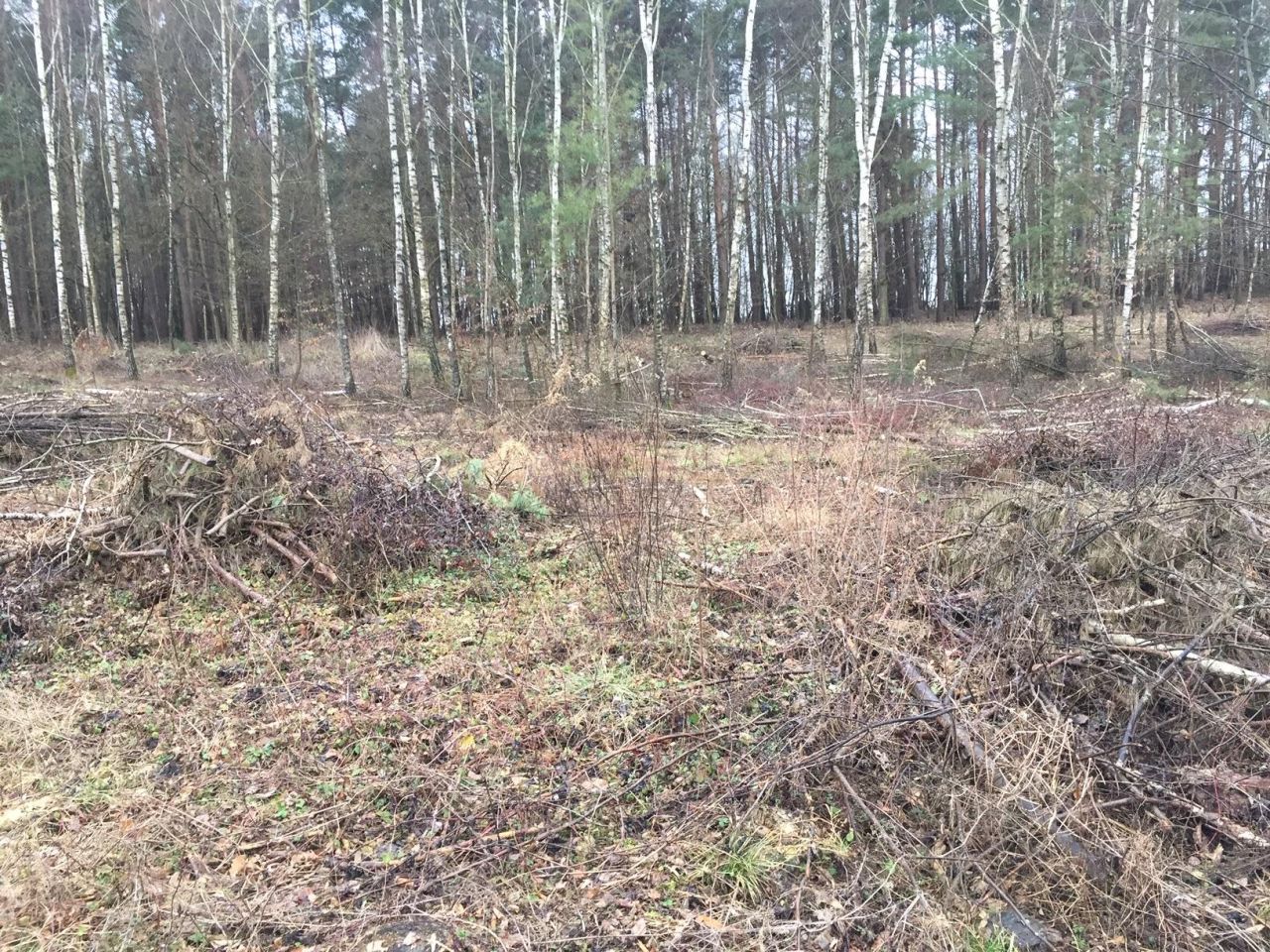 Działka budowlana Pinino. Zdjęcie 8