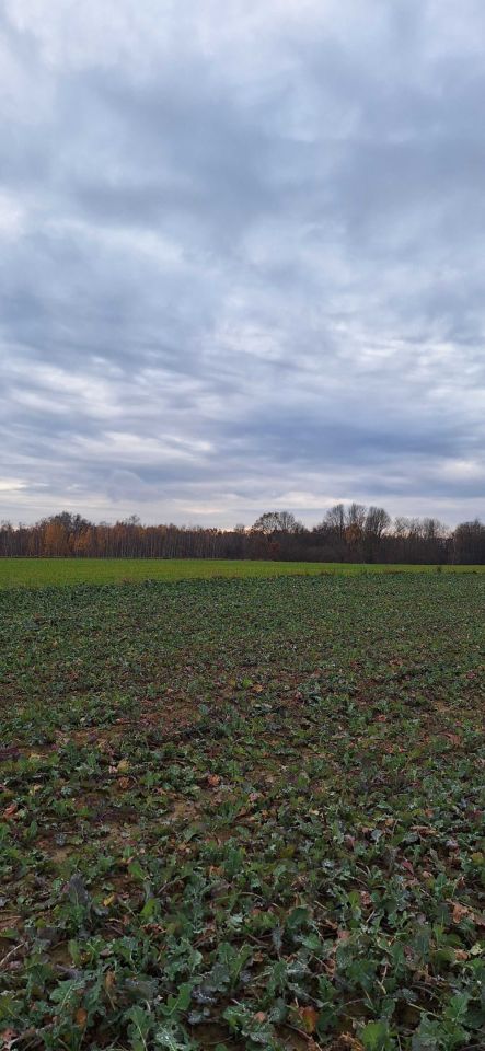 Działka budowlana Ciecierzyn. Zdjęcie 2