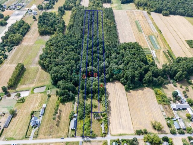 Działka budowlana Kochanów. Zdjęcie 6