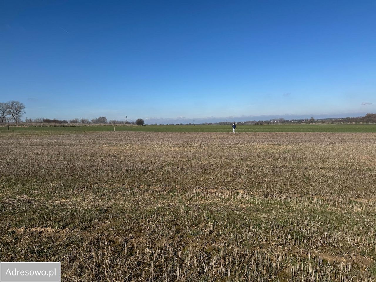 Działka budowlana Pyrzyce, ul. Rycerza Przybora. Zdjęcie 7