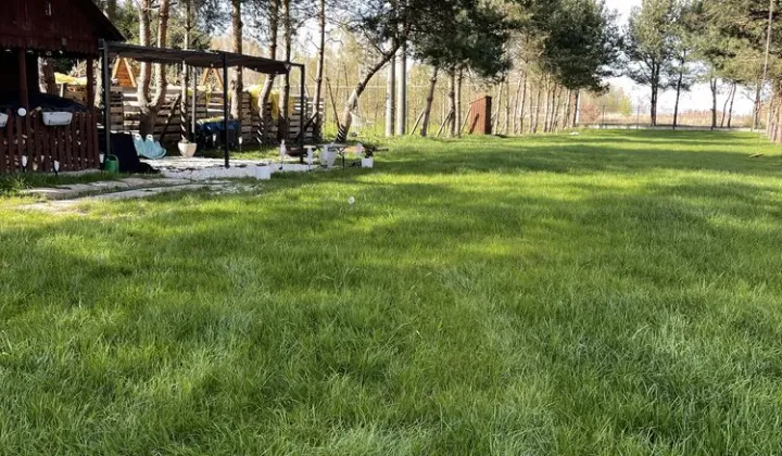 Działka budowlana Skrzynno