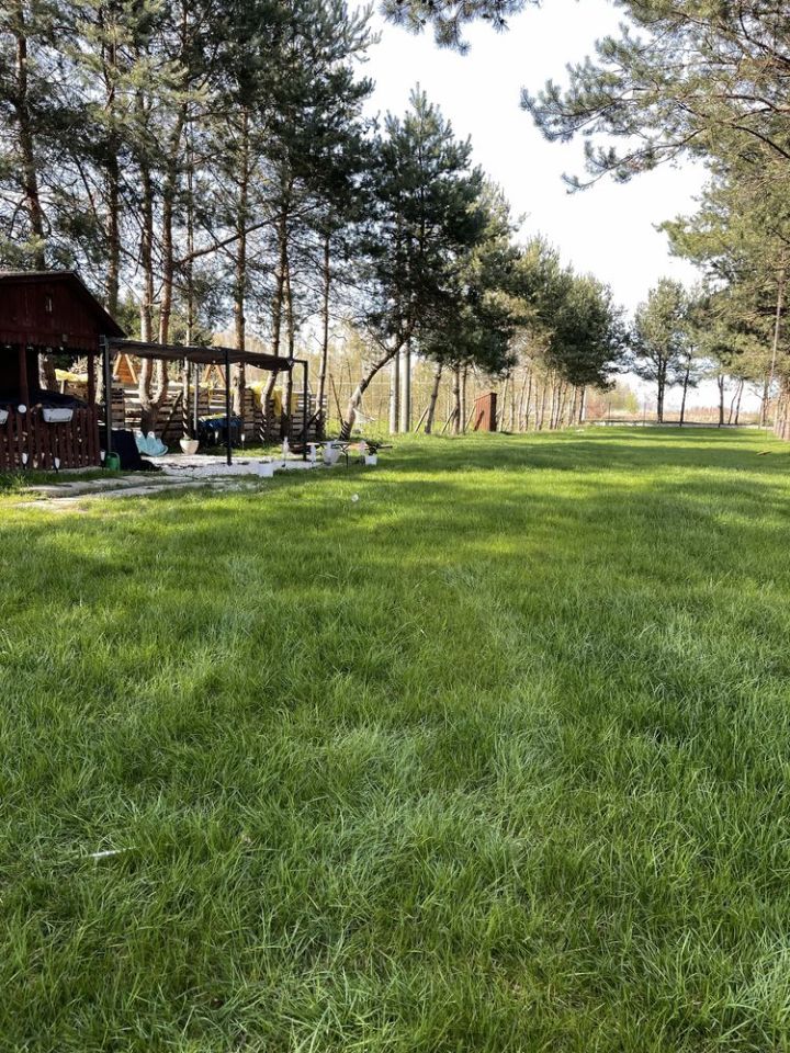 Działka budowlana Skrzynno. Zdjęcie 1