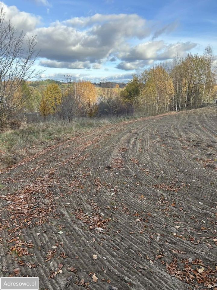 Działka budowlana Swojki. Zdjęcie 5