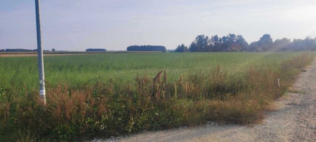 Działka budowlana Stara Kuźnica. Zdjęcie 1