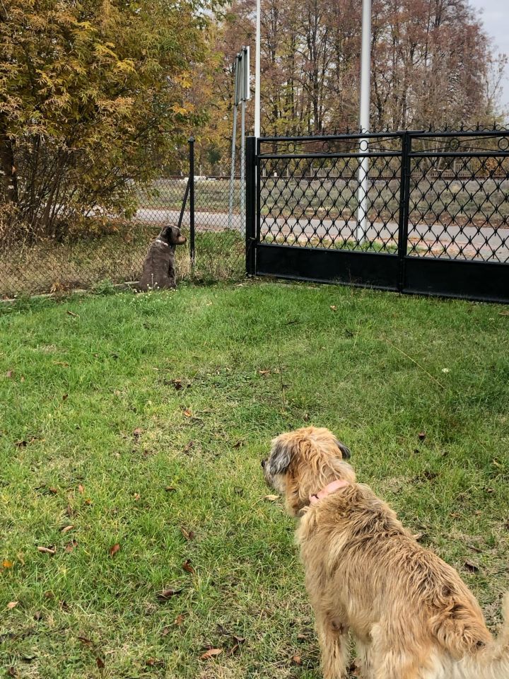 dom wolnostojący, 8 pokoi Olszewo-Borki, ul. Warszawska. Zdjęcie 24