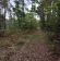 Działka leśna Miłosław. Zdjęcie 8