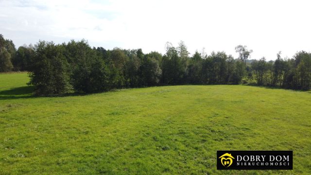 Działka budowlana Guty Rożyńskie. Zdjęcie 12