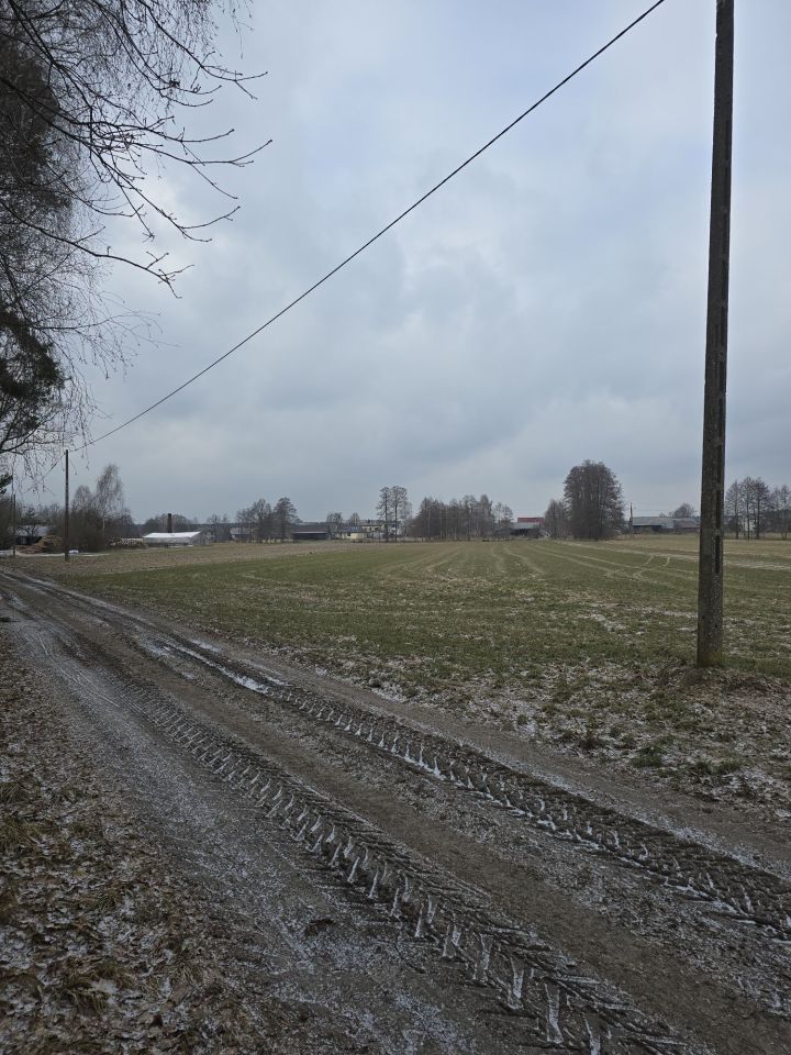 Działka rolna Pieczyska. Zdjęcie 1