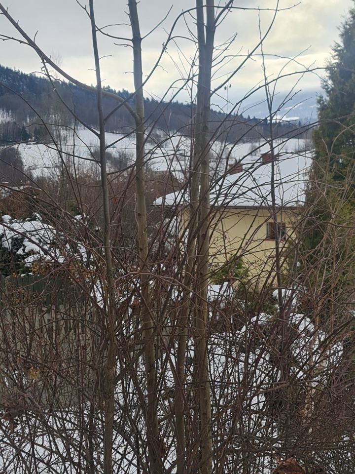 Działka budowlana Bielsko-Biała. Zdjęcie 3