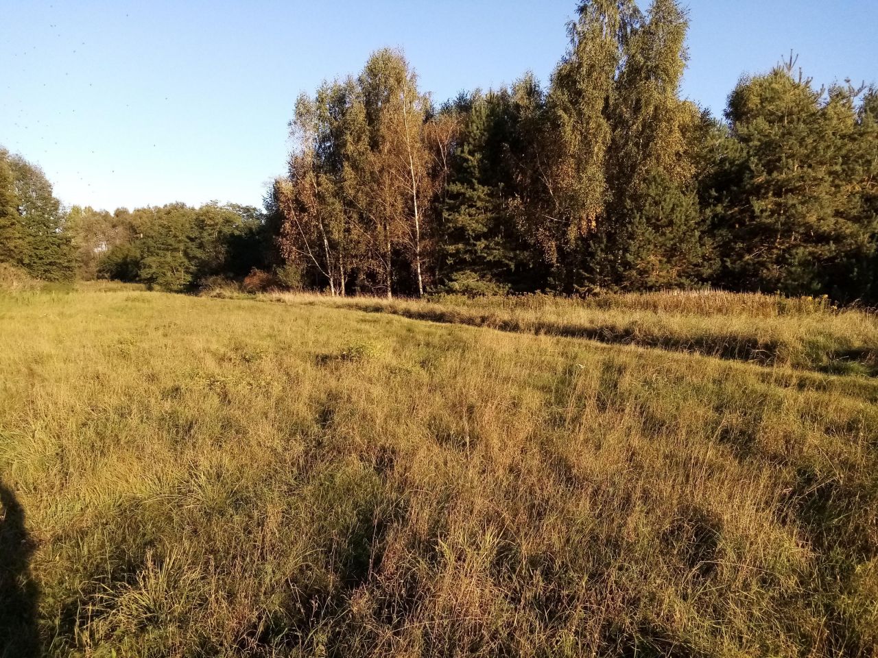 Działka budowlana Kozowo. Zdjęcie 1