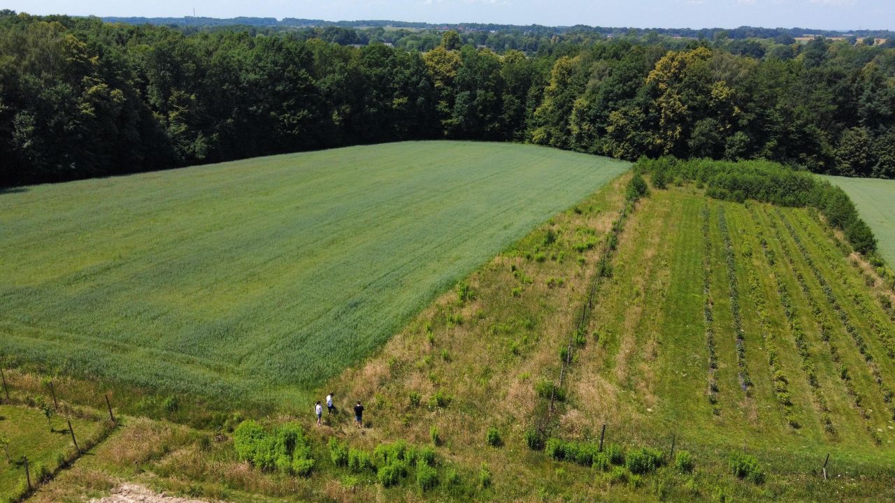 Działka inwestycyjna Hecznarowice, ul. Leśna. Zdjęcie 9