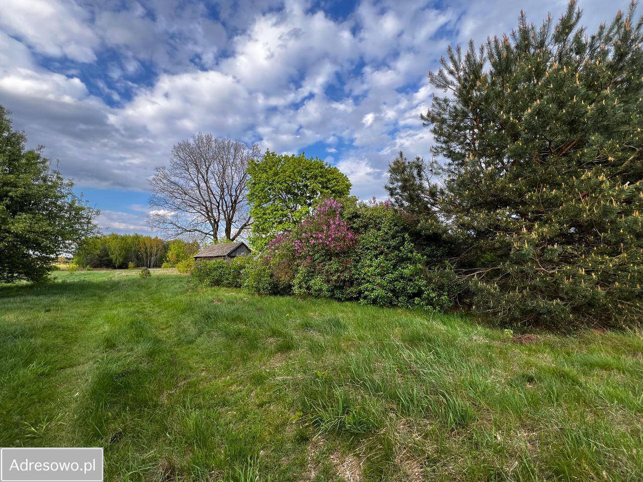 dom wolnostojący, 3 pokoje Sapiehów. Zdjęcie 4