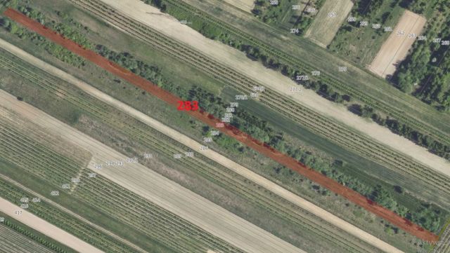 Działka rolna Przybysławice. Zdjęcie 1