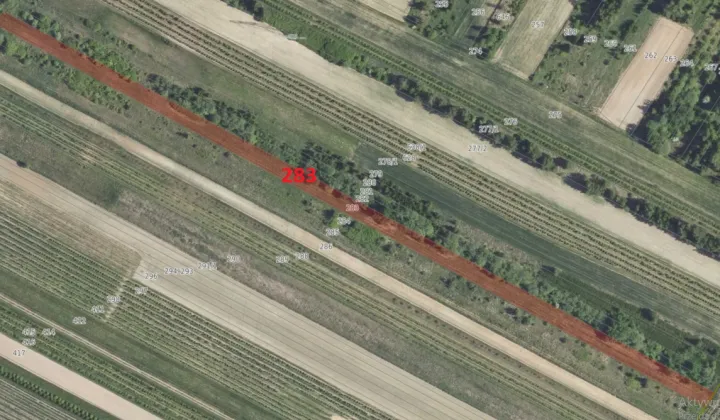 Działka rolna Przybysławice