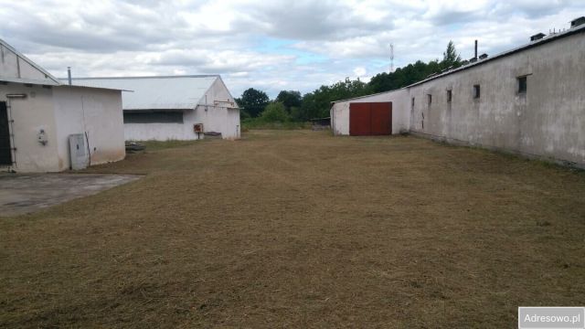 Działka inwestycyjna Skwierzyna. Zdjęcie 1