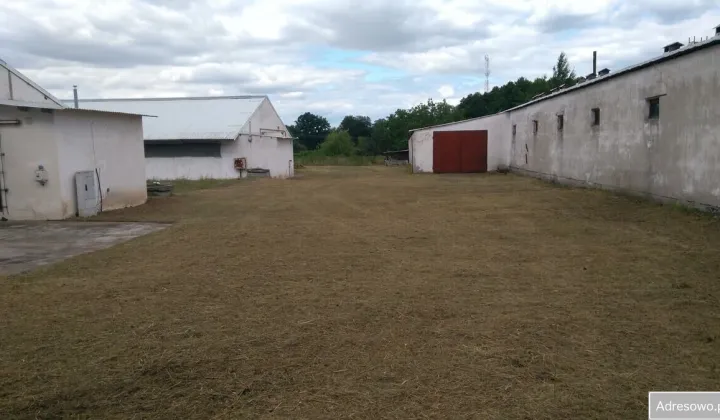 Działka inwestycyjna Skwierzyna