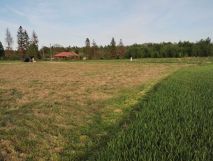 Działka budowlana Gietrzwałd. Zdjęcie 4