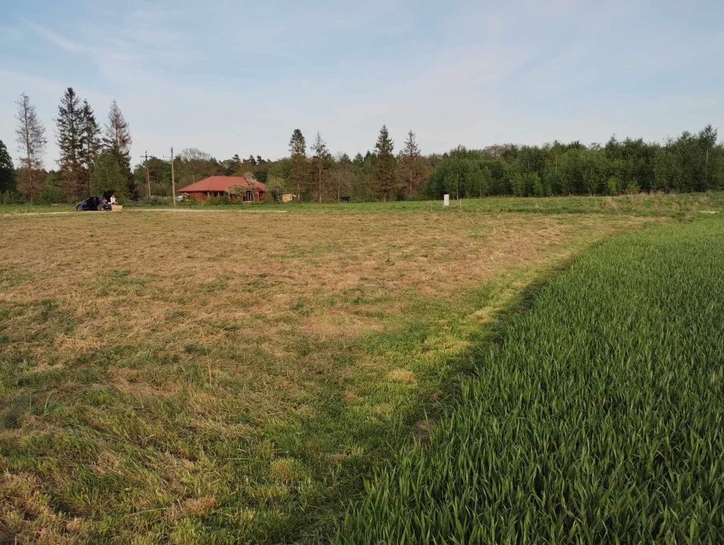 Działka budowlana Gietrzwałd. Zdjęcie 5